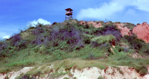 Tower and Brush Covered Ravines