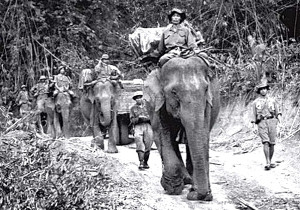 VC Elephant Convoy